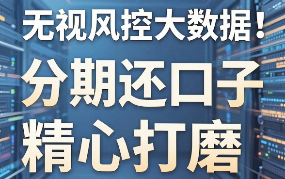 无视风控大数据!这几家分期还口子精心打磨,实用满分