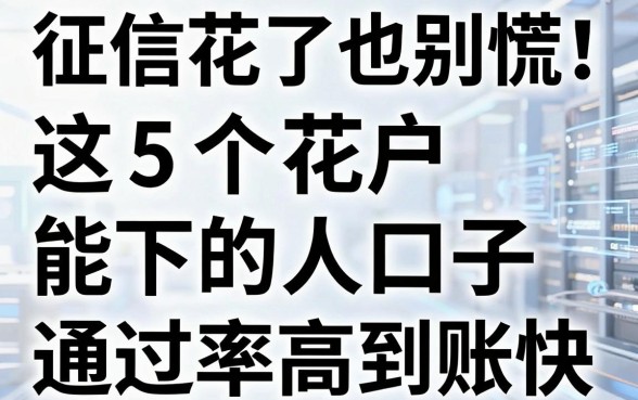 征信花了也别慌!这5个花户能下的口子,通过率高到账快