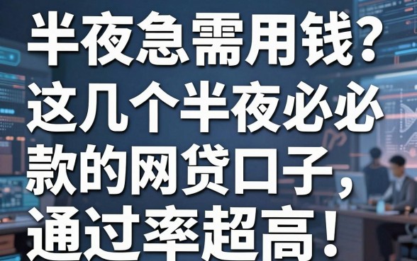 半夜急需用钱?这几个半夜必下款的网贷口子,通过率超高!
