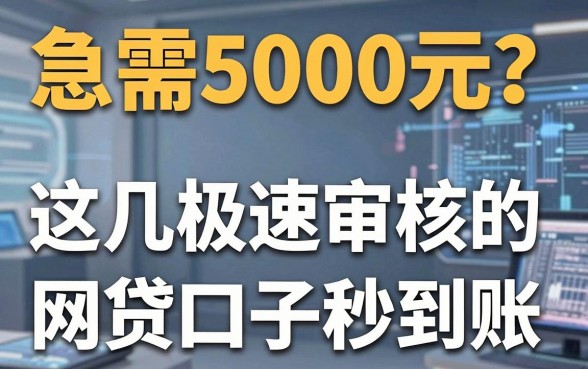 急需5000元?这几家极速审核的网贷口子秒到账!