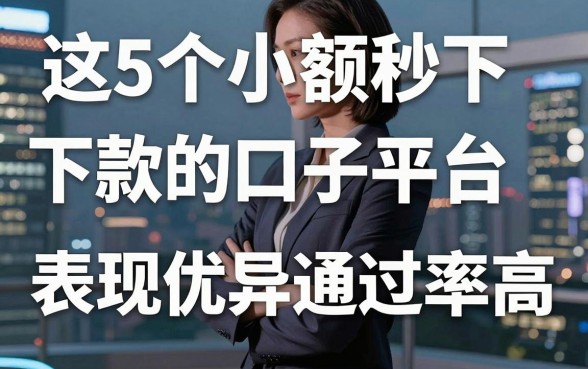 这5个小额秒下款的口子平台,表现优异通过率高!
