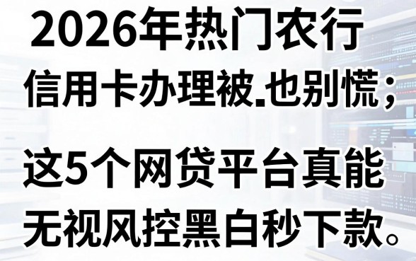 2026年热门农行信用卡办理被拒也别慌,这5个网贷平台真能无视风控黑白秒下款