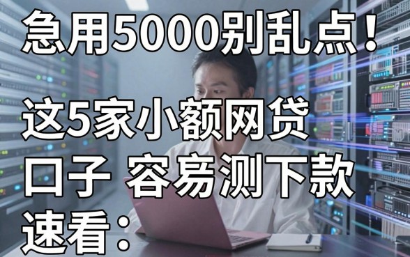 急用5000别乱点!这5家小额网贷口子亲测容易下款,速看