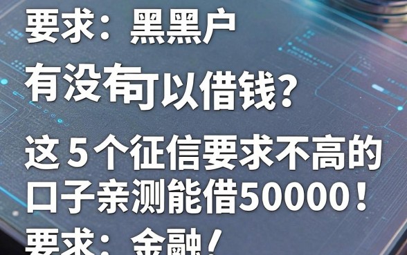 黑户手机有没有贷款可以借钱?这5个征信要求不高的口子亲测能借50000!