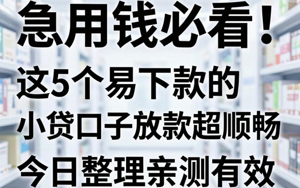 急用钱必看!这5个易下款的小贷口子放款超顺畅,今日整理亲测有效