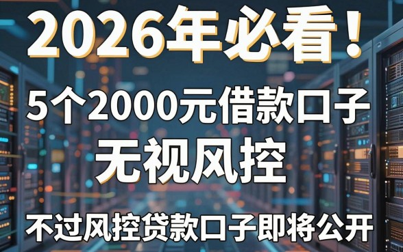 2026年必看!5个2000元借款口子无视风控,不过风控贷款口子即将公开