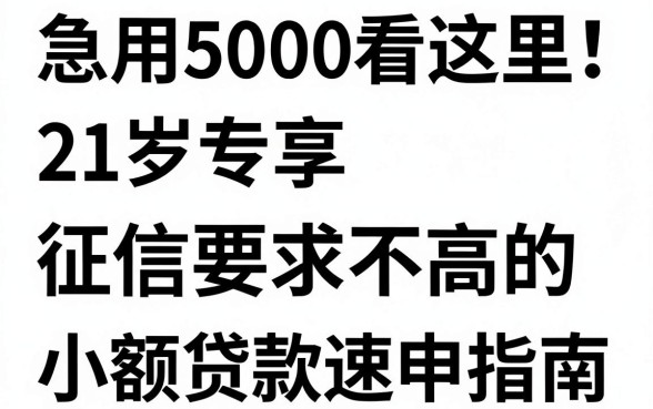 急用5000看这里!21岁专享、征信要求不高的小额贷款速申指南