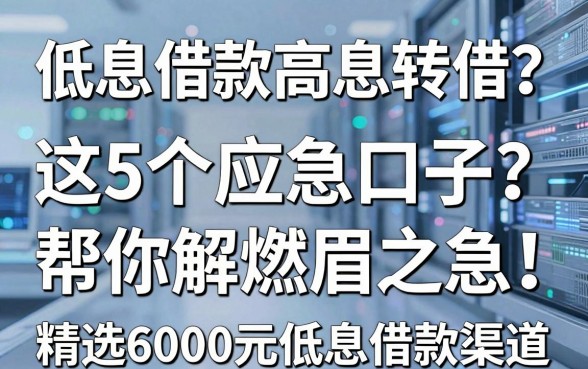 低息借款高息转借？这5个应急口子帮你解燃眉之急，精选6000元低息借款渠道