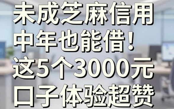 未成年芝麻信用中等也能借!这5个3000元口子体验超赞