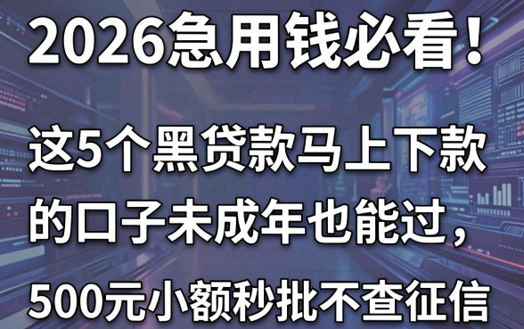 2026急用钱必看！这5个黑贷款马上下款的口子未成年也能过，500元小额秒批不查征信