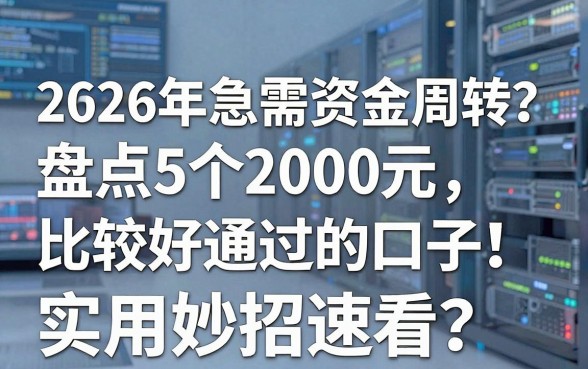 2026年急需资金周转?盘点5个2000元比较好通过的口子,实用妙招速看!