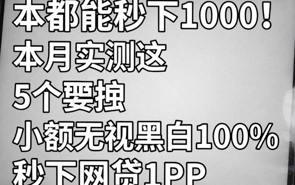 黑白都能秒下1000!本月实测这5个小额无视黑白100%秒下网贷APP