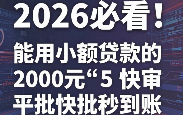 2026必看!这5个能用小额贷款的平台,2000元快审快批秒到账