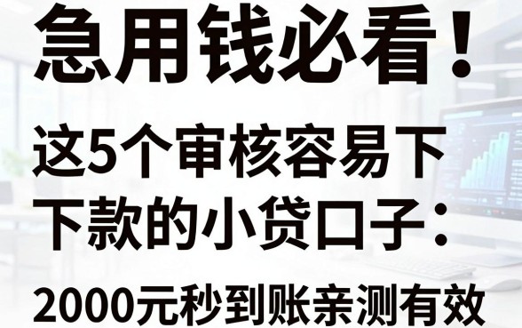 急用钱必看！这5个审核容易下款快的小贷口子，2000元秒到账亲测有效