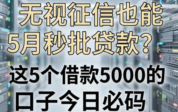 无视征信也能秒批贷款?5月最新整理,这5个借款5000的口子今日必码