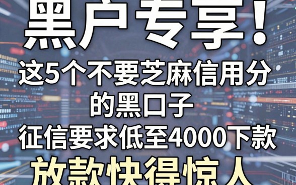 黑户专享！这5个不要芝麻信用分的黑口子，征信要求低至4000元好下款，放款快得惊人