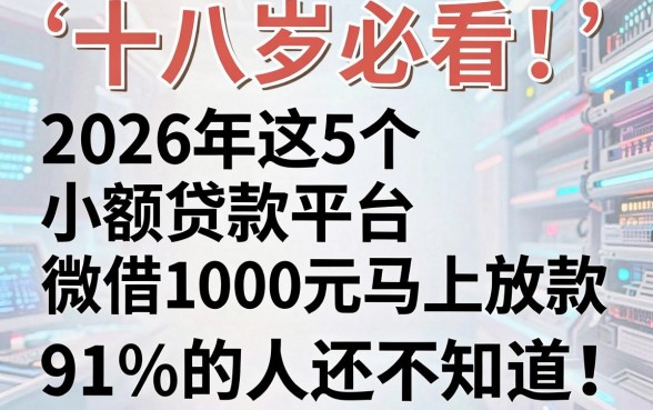 十八岁必看!2026年这5个小额贷款平台微信借1000元马上放款,91%的人还不知道