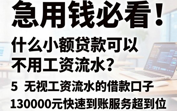 急用钱必看！什么小额贷款可以不用工资流水？这5个无视工资流水的借款口子，30000元快速到账服务超到位