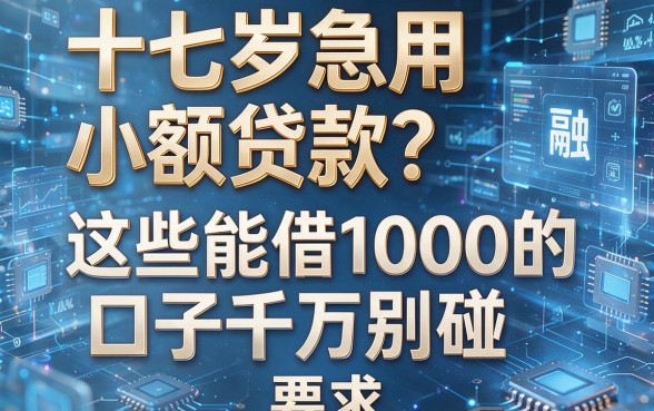 十七岁急用小额贷款?这些能借1000的口子千万别碰!