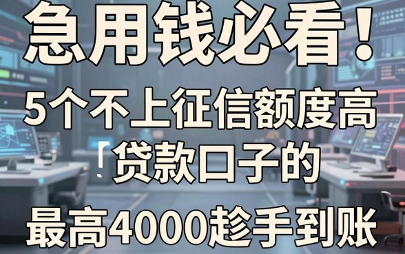 急用钱必看！5个不上征信额度高的贷款口子，最高4000趁手到账