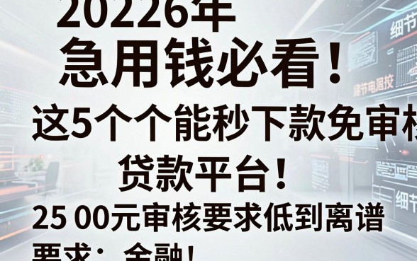2026年急用钱必看！这5个能秒下款免审核的贷款平台，2500元审核要求低到离谱