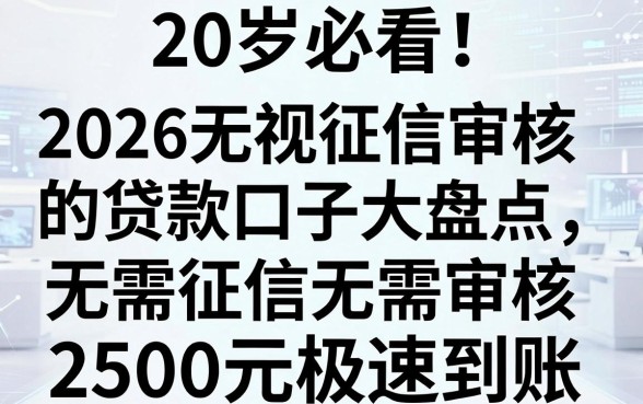 20岁必看!2026无视征信审核的贷款口子大盘点,无需征信无需审核,2500元极速到账!