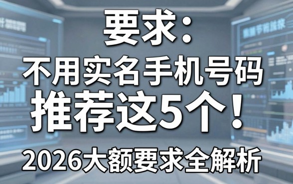 不用实名手机号码推荐这5个!2026大额消费贷申请要求全解析