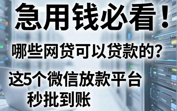 急用钱必看：哪些网贷可以贷款的？这5个微信放款平台秒批到账