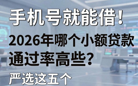 手机号就能借!2026年哪个小额贷款通过率高些?严选这五个