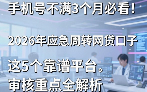 手机号不满3个月必看!2026年应急周转网贷口子,这5个靠谱平台审核重点全解析