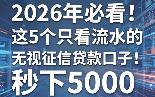 2026年必看!这5个只看流水的贷款口子,无视征信秒下5000