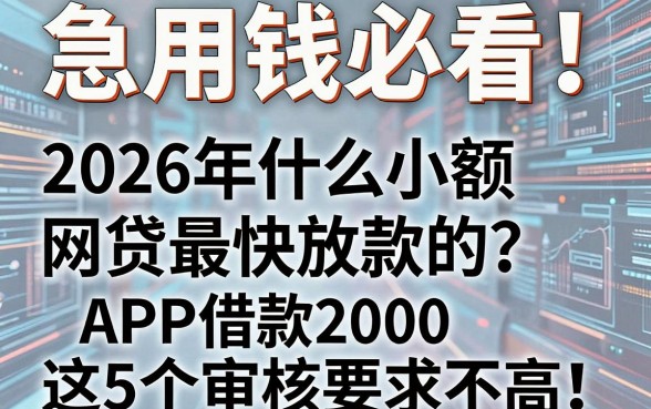 急用钱必看！2026年什么小额网贷最快放款的？这5个APP借款2000审核要求不高