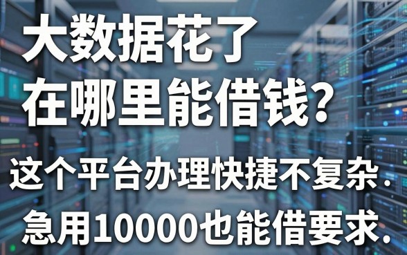 大数据花了在哪里能借钱？这5个平台办理快捷不复杂，急用10000也能借
