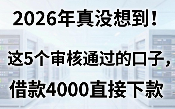 2026年真没想到!这5个网贷审核通过的口子,借款4000直接下款
