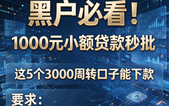 黑户必看!1000元小额贷款秒批,这5个3000周转口子能下款