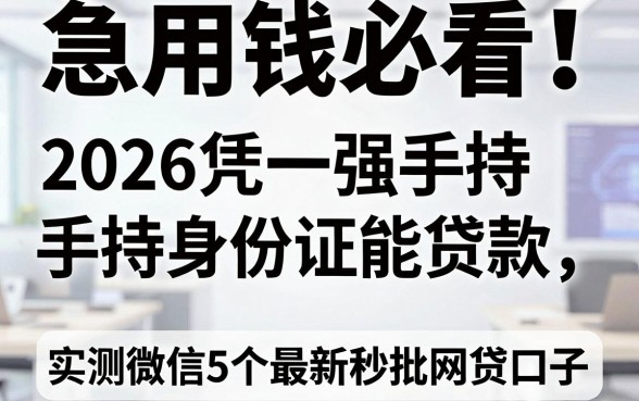 急用钱必看！2026凭一张手持身份证能贷款，实测微信5个最新秒批网贷口子