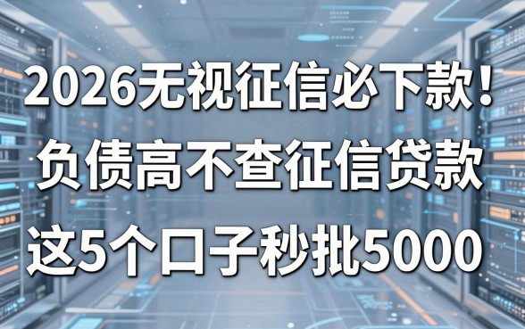 2026无视征信必下款!负债高不查征信贷款,这5个口子秒批5000