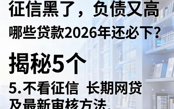 征信黑了、负债又高,哪些贷款2026年还必下?揭秘5个不看征信的长期网贷及最新审核方法!