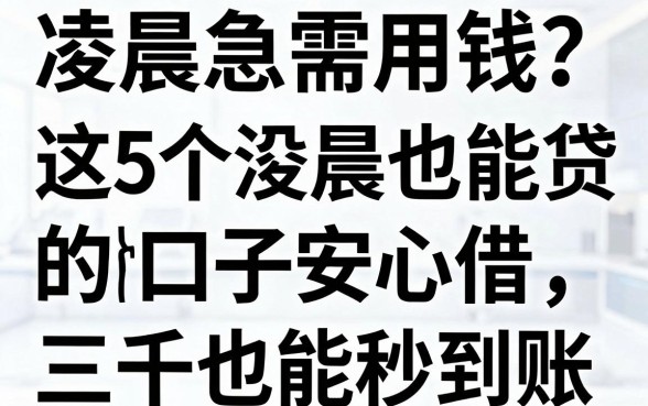 凌晨急需用钱?这5个凌晨也能贷款的口子安心借,三千也能秒到账!