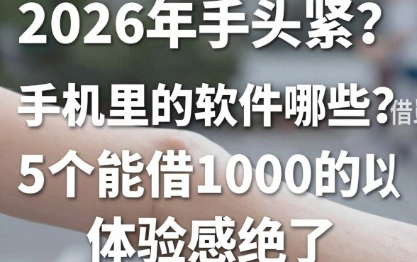 2026年手头紧?手机里的软件哪些可以借钱?这5个能借1000的体验感绝了