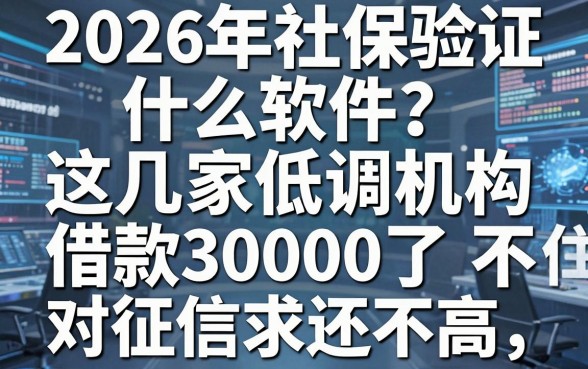 2026年社保验证什么软件？这几家低调机构藏不住了，借款30000对征信要求还不高！