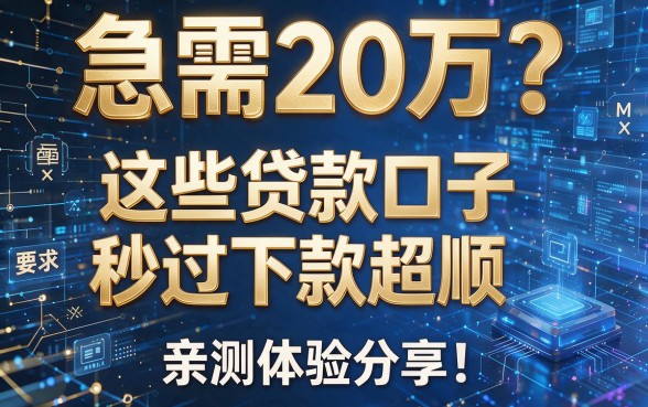 急需20万？这些贷款口子秒过下款超顺，亲测体验分享！