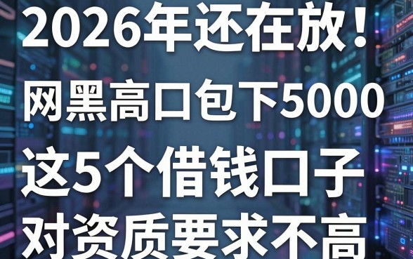 2026年还在放款!网黑高炮口子包下5000,这5个借钱口子对资质要求不高