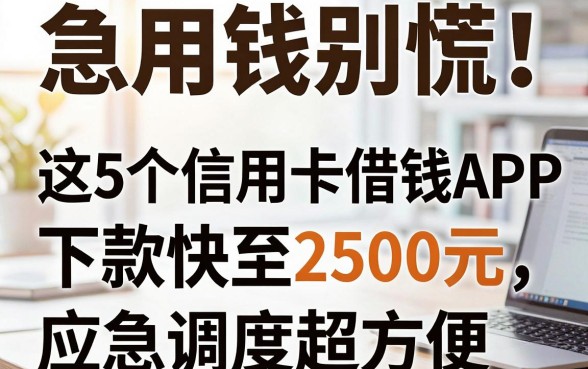 急用钱别慌!这5个信用卡借钱APP下款快至2500元,应急调度超方便