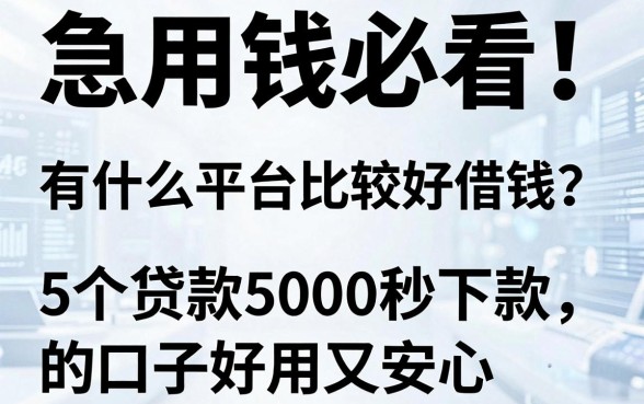 急用钱必看!有什么平台比较好借钱?这5个贷款5000秒下款的口子好用又安心
