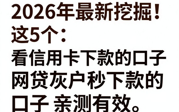2026年最新挖掘!这5个看信用卡下款的口子,网贷灰户秒下款的口子亲测有效