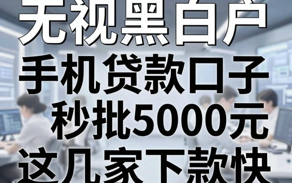无视黑白户,手机贷款口子秒批5000元,这几家下款快!