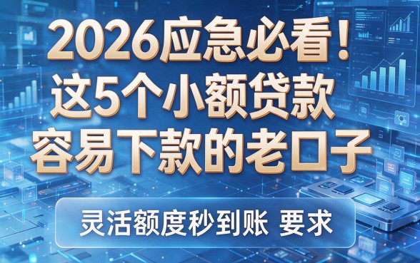 2026应急必看!这5个小额贷款容易下款的老口子,灵活额度秒到账