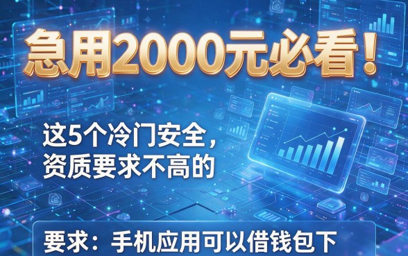 急用2000元必看！这5个冷门安全、资质要求不高的手机应用可以借钱包下