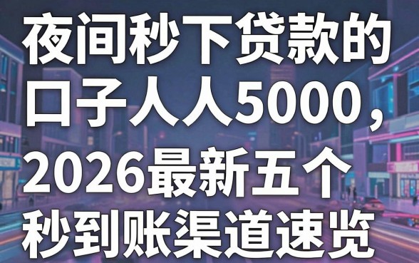 夜间秒下贷款的口子人人5000,2026最新五个秒到账渠道速览防丢
